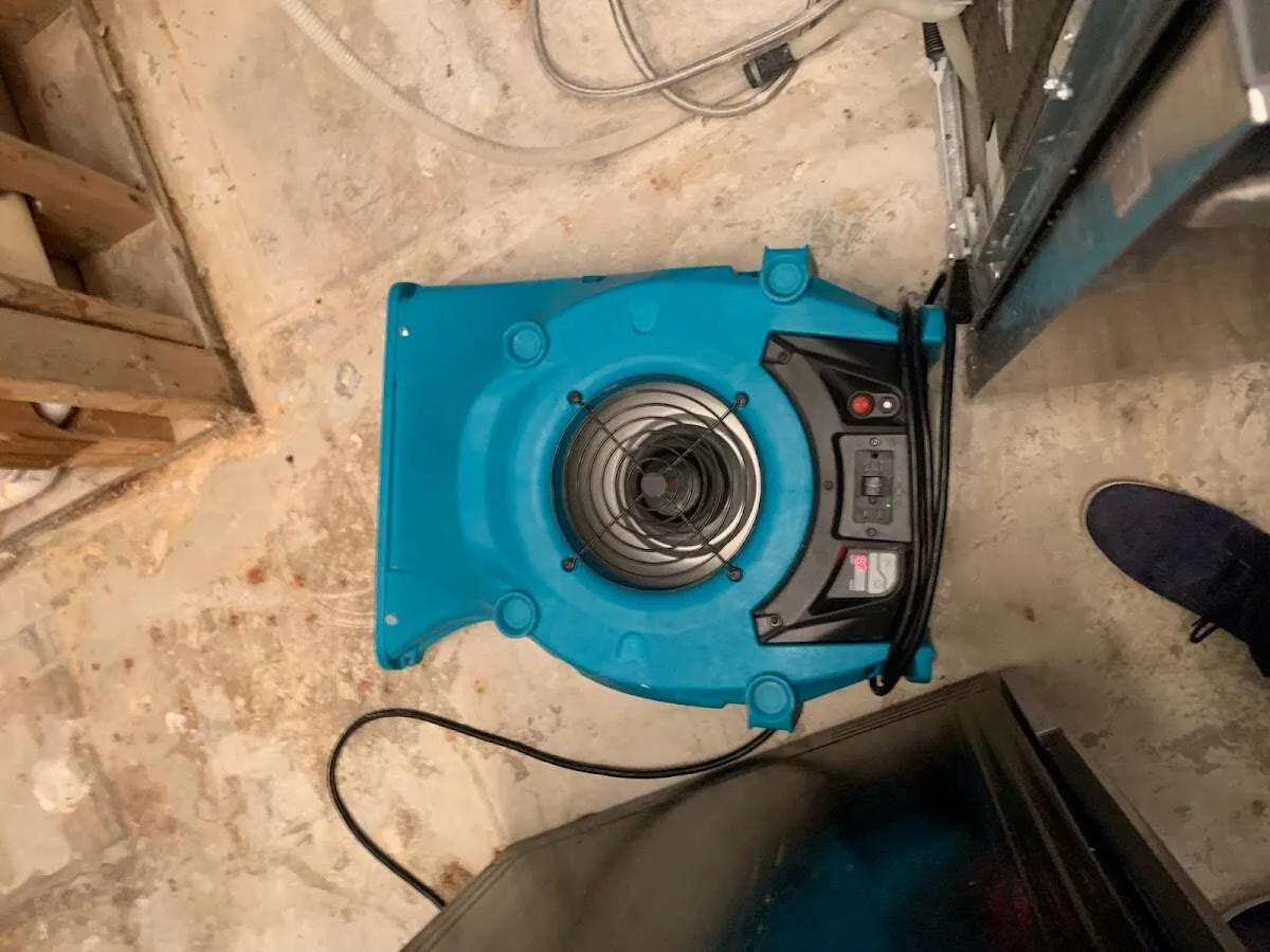 Air mover drying equipment for Mold Remediation & Removal in Annapolis